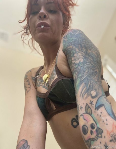 thedannygoldexperience nice star archive