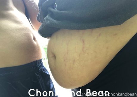 chonkandbean beautiful star pic