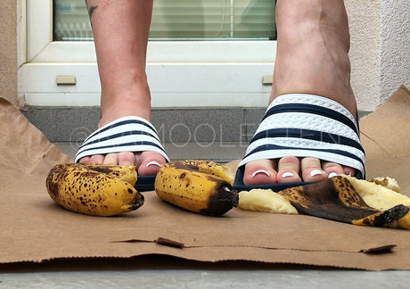 kamoolettenfree porn star picture