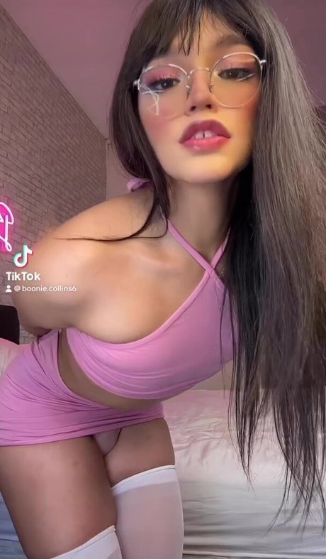 Booniecollins model best image