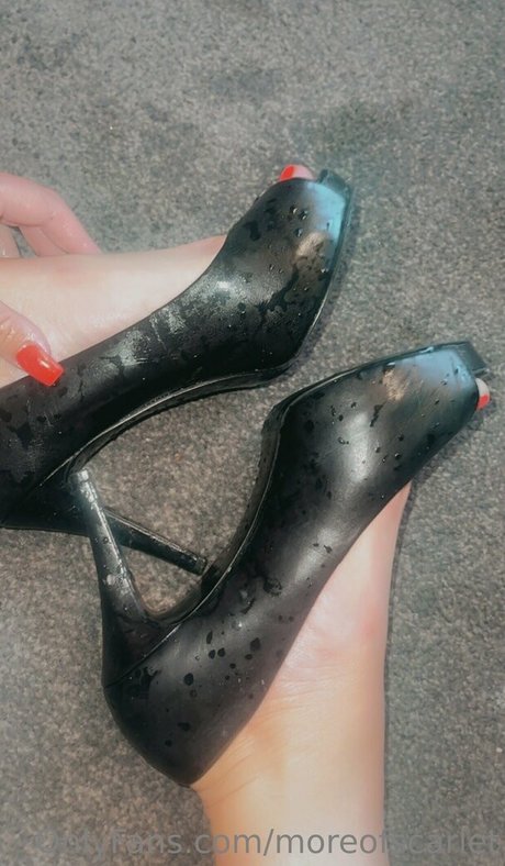 moreofscarlet best pornstar photo