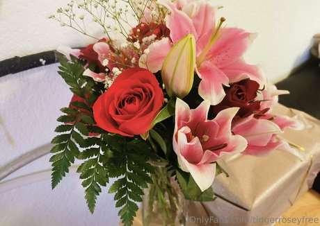 tiggerroseyfree star top pictures