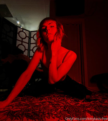 kittykass free perfect pornstar pic