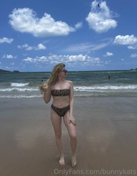 bunnykats pornstar art pic