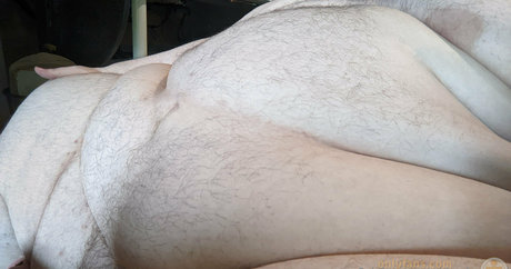 ssbhm fatwasad nice star archive