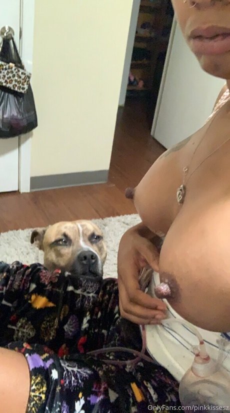 pinkkissesz star hot image