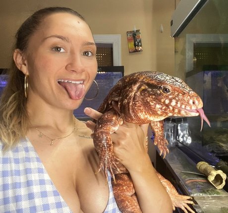 des exotics star beautiful pictures