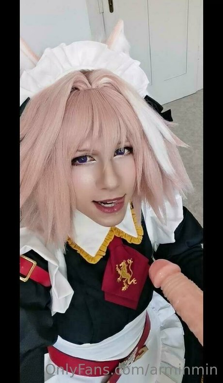 arminmin best model img