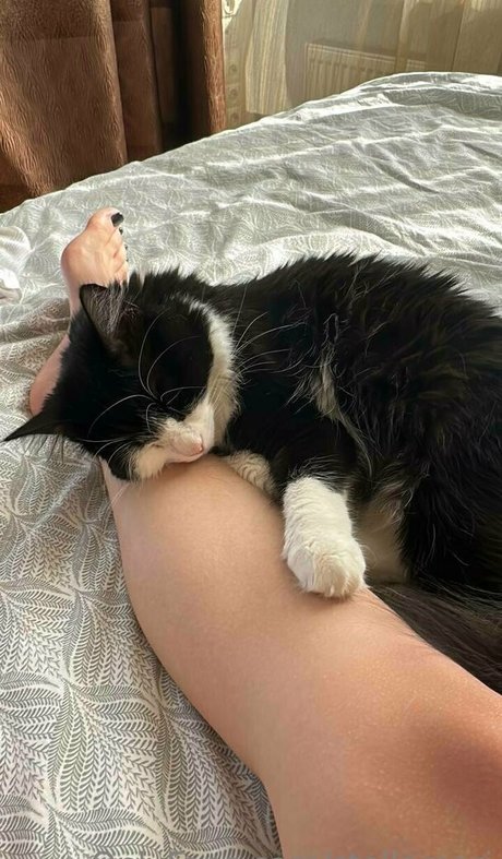 stellamori exclusive actress picture