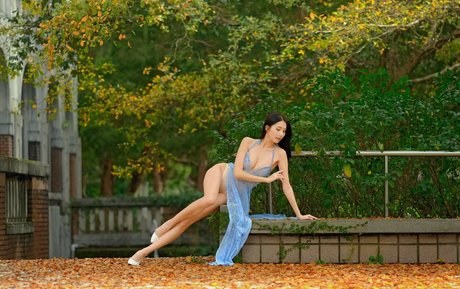 Anita Feifei pornstar nude gallery