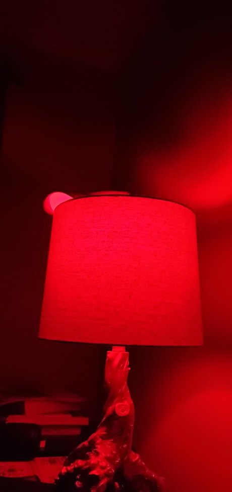 Dick Chuck beautiful star galleries