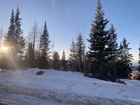 Christine Harley pornstar pic