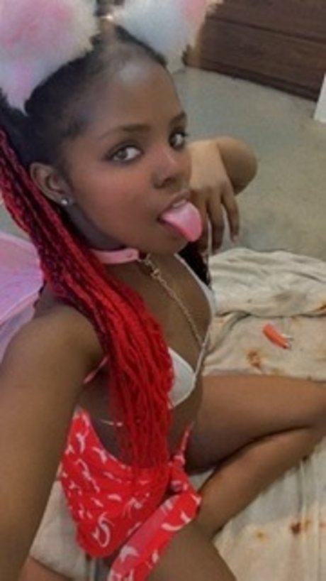 Princess kitten star picture