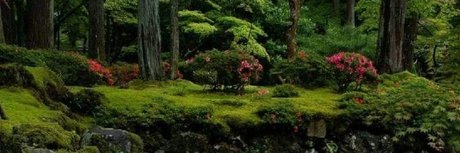 brynn star naked image