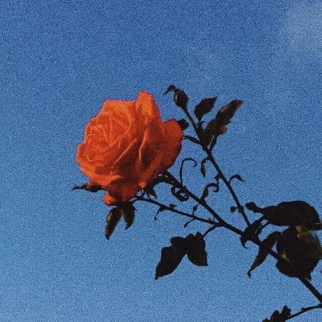 Princess Bitchass pornstar exclusive images