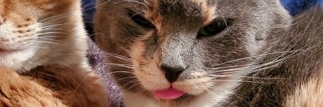 PrincessMaddieMaddz sex pornstar picture