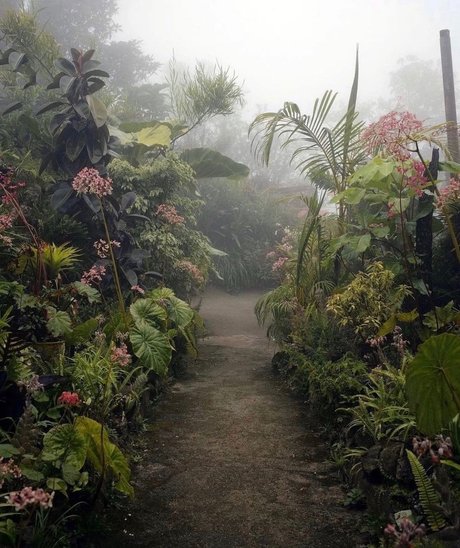 Depeche Ho model pornographic pic