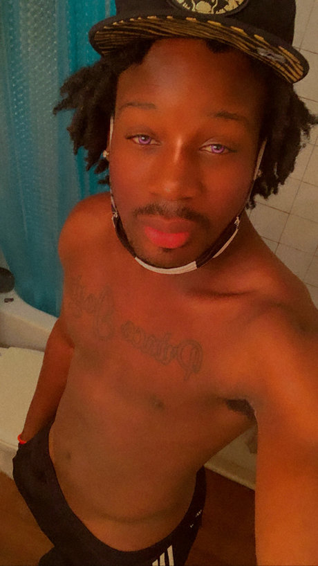 Prince Simba star art gallery