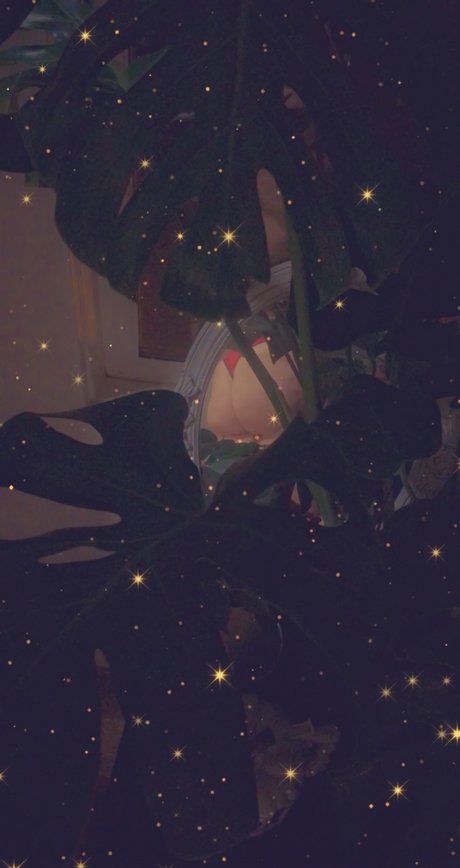 Peach Princess_ model top pic