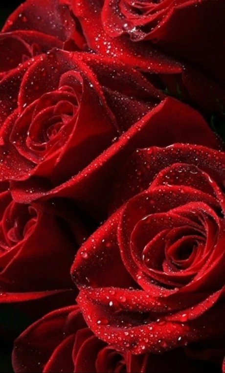 OfficialPrettyRed model hot img