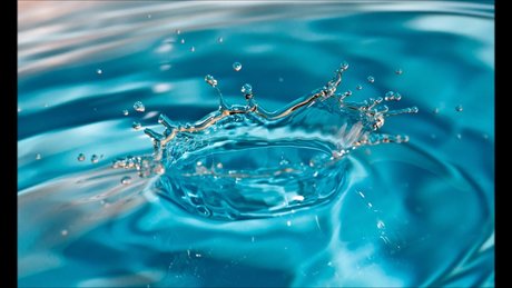 Miss Drip star nice image