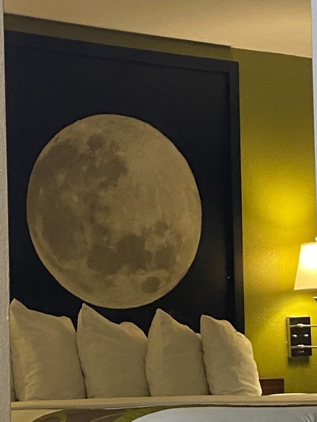 silicone onlyfans free sex archive