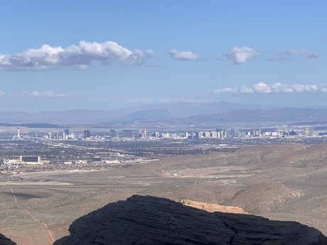 Pup Arlo model pretty img