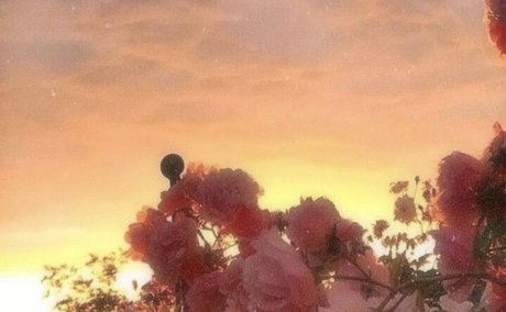 helloooo_ hot star pictures