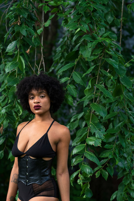 Puma Luna star art img