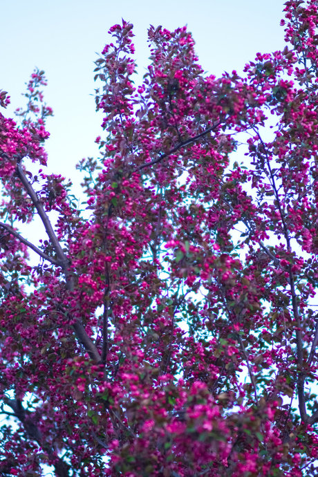 spy onlyfans hot sex img