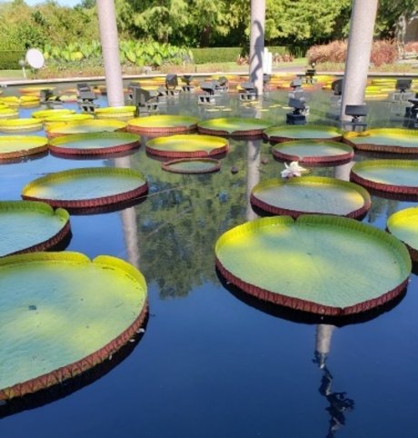 PuckDaddy model pornographic pictures