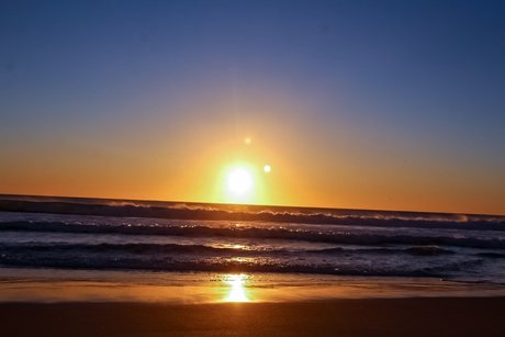 El Denis star high quality galleries