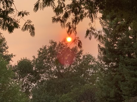 Dis D3x D perfect actress pictures