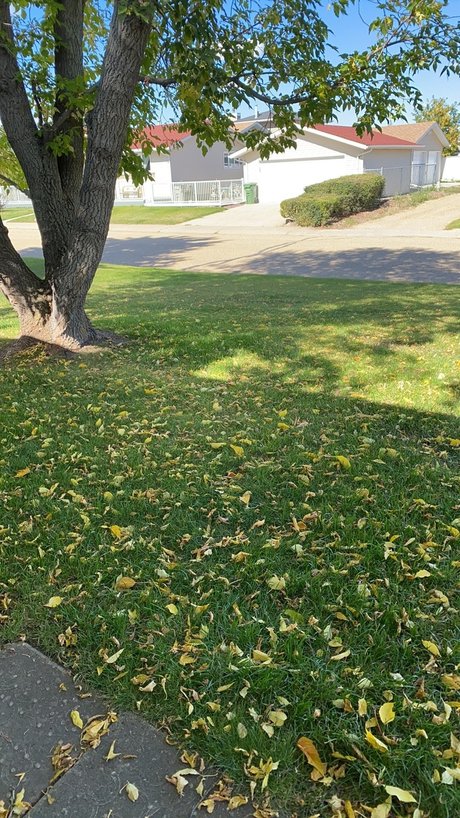 nuggies pornstar beautiful img