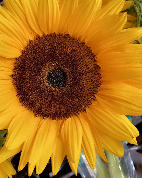 Queen M pornstar xxx galleries