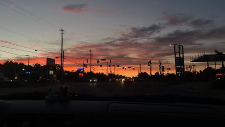 eris model erotic pictures