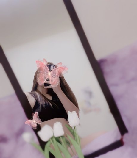 Tiny Butterfly nice model picture