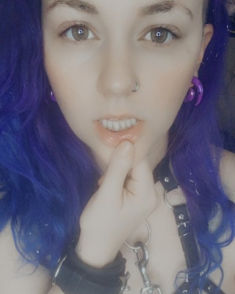 Purple Fury hot star gallery