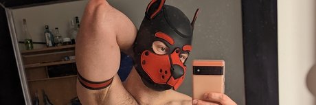 Pup Benji adult star image