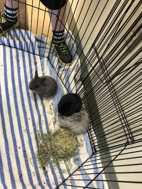 Caleb Brady beautiful pornstar pics