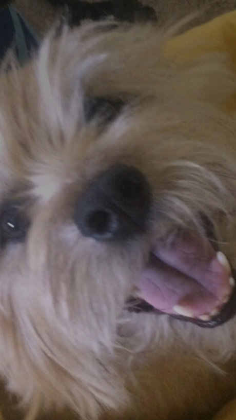 Caleb Brady xxx model images