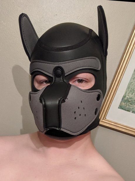 Pup Jackal model pornographic gallery