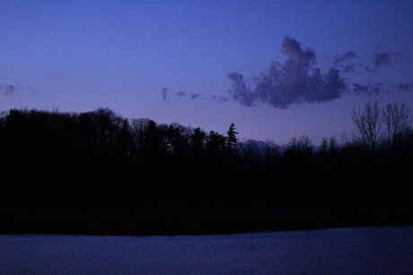 Bentley_ model hot pictures