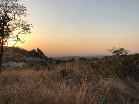 Blonde and Horny top pornstar archive