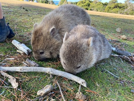 Quirkynaturegirl porn actress pic