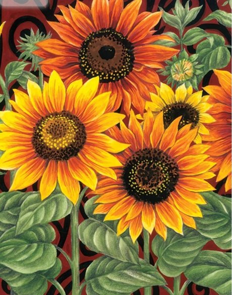 R my star nice picture