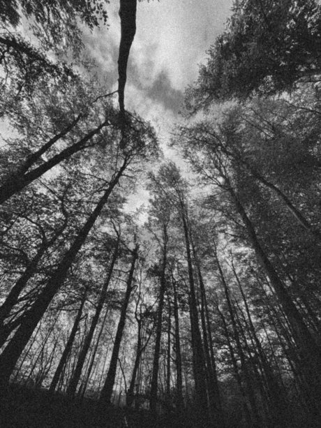 Leilalu star hot pictures