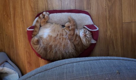 Donnie Bunz naked star photo