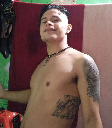 Destellodeluzz star adult pic