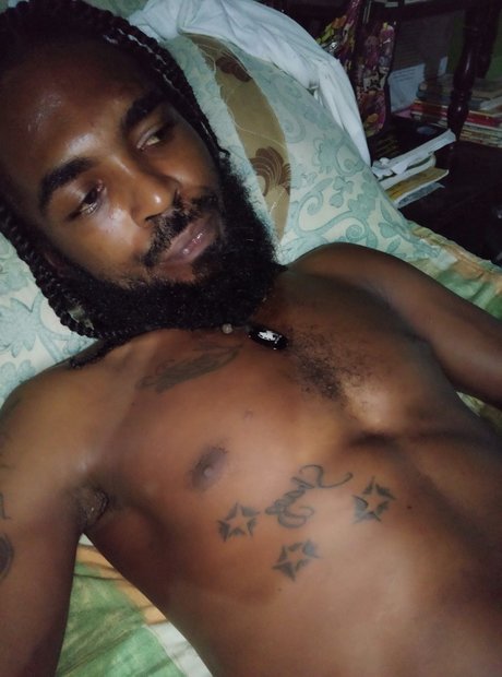 Drizzle Berries model hd img